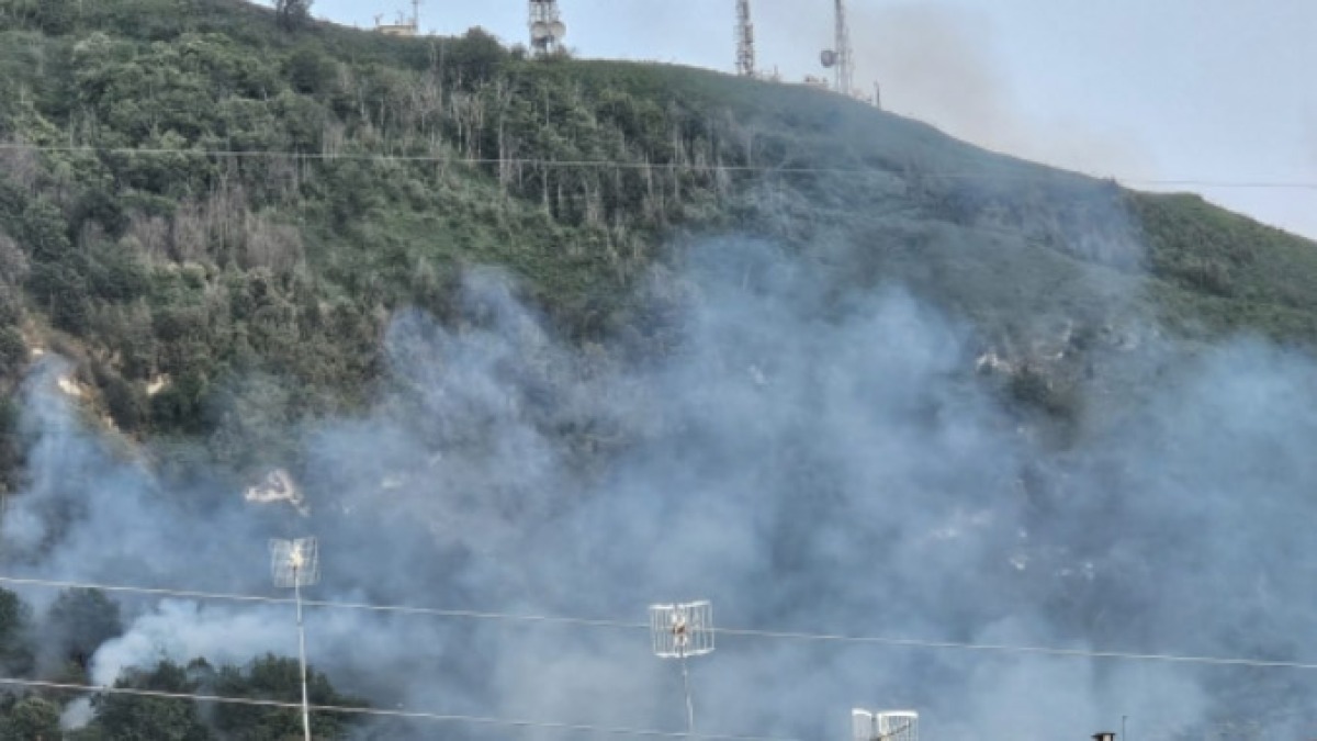 Uliveti in fiamme, c'è la pista dolosa - 