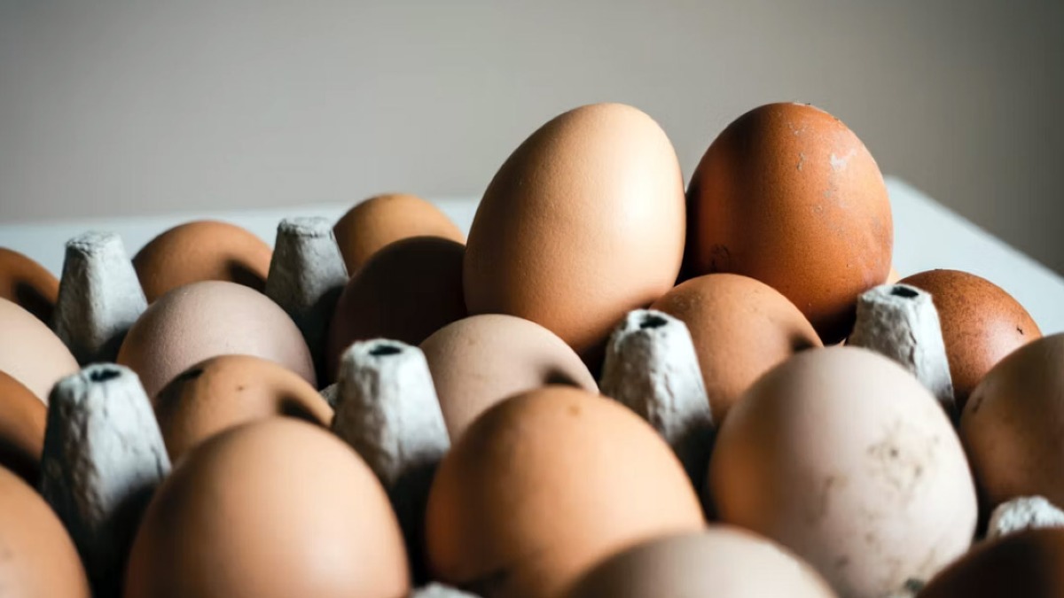 RIschio salmonella, uova tolte dagli scaffali - 
