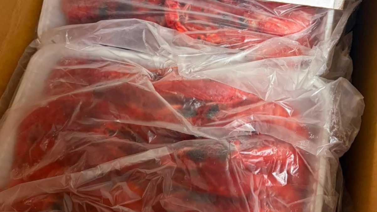 Sequestrata una tonnellata di gambero rosso surgelata - 