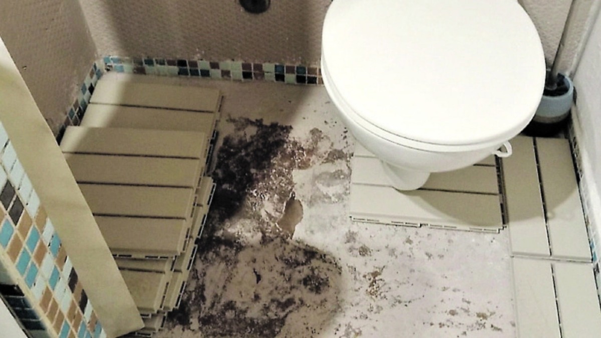 Water nella doccia, chiuso B&B abusivo - 