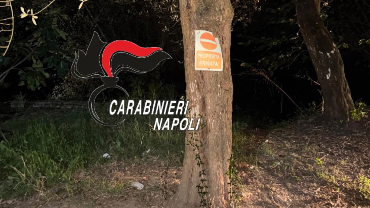 Droga in un tronco e lasciava indicazioni per trovarla - 