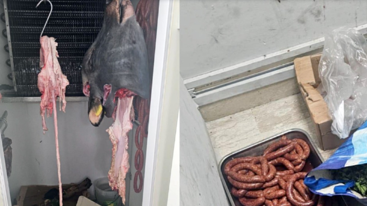 Sequestrate 700 confezioni di alimenti: rischio contaminazione - 