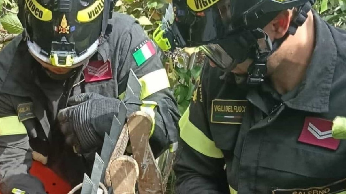 Cade e resta infilzato in una recinzione - 