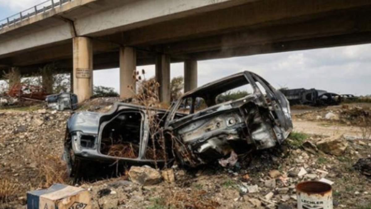 Capre pascolano nella discarica di auto e veleni - 