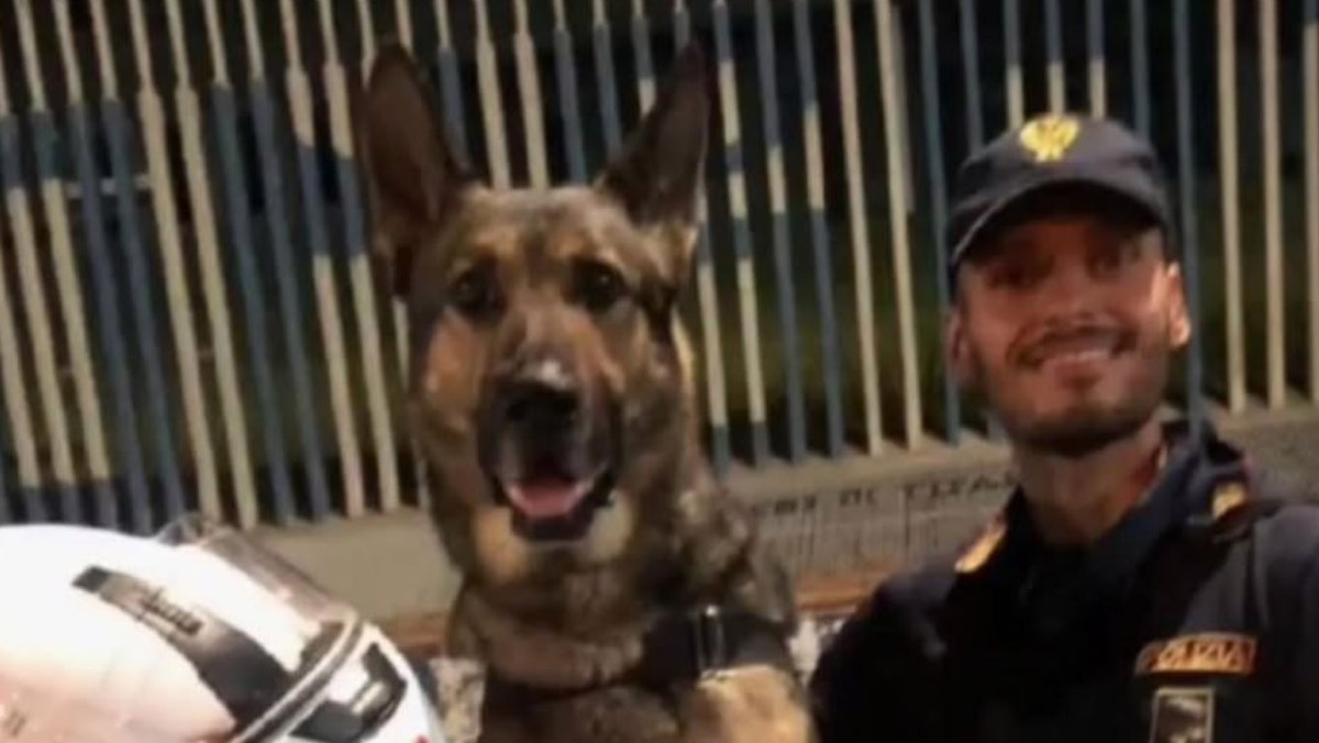 Addio al cane poliziotto Cash - 