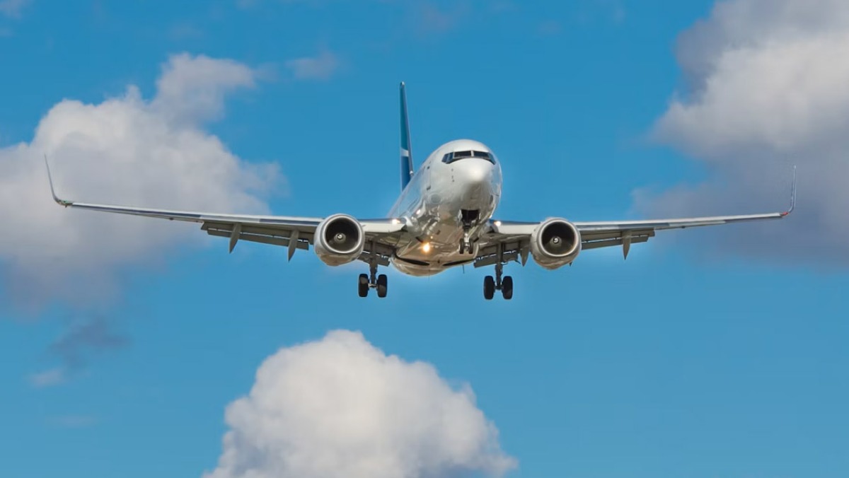 Serpente sull'aereo, caos per atterrare - 