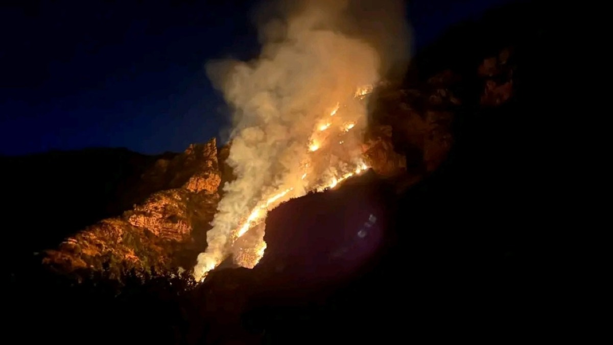 Fiamme in Costiera, caccia ai piromani - 