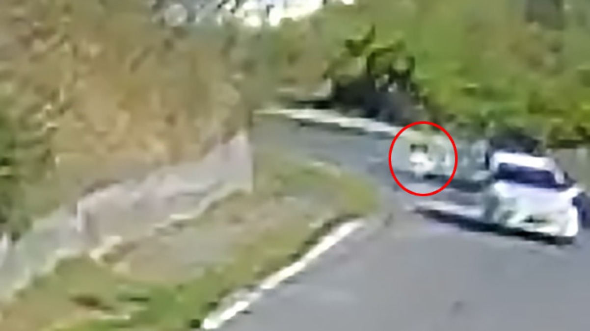 Lancia rifiuti dall'auto a Terzigno, individuato e punito - 