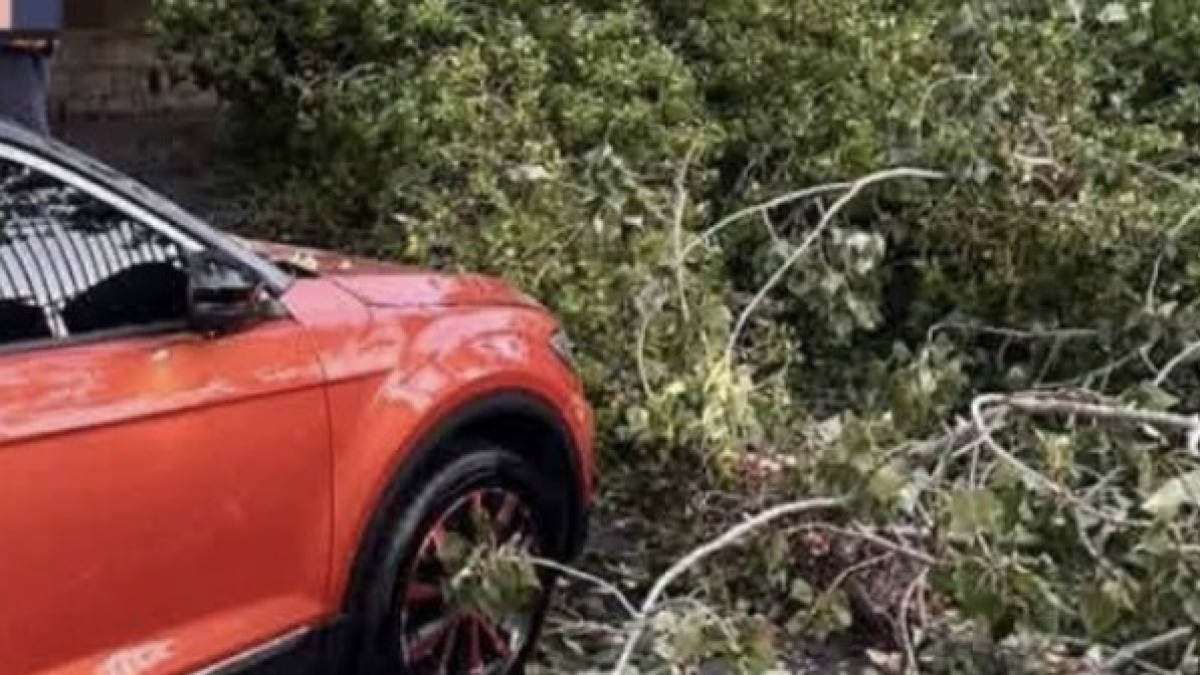 Albero crolla in strada e colpisce auto e scooter - 