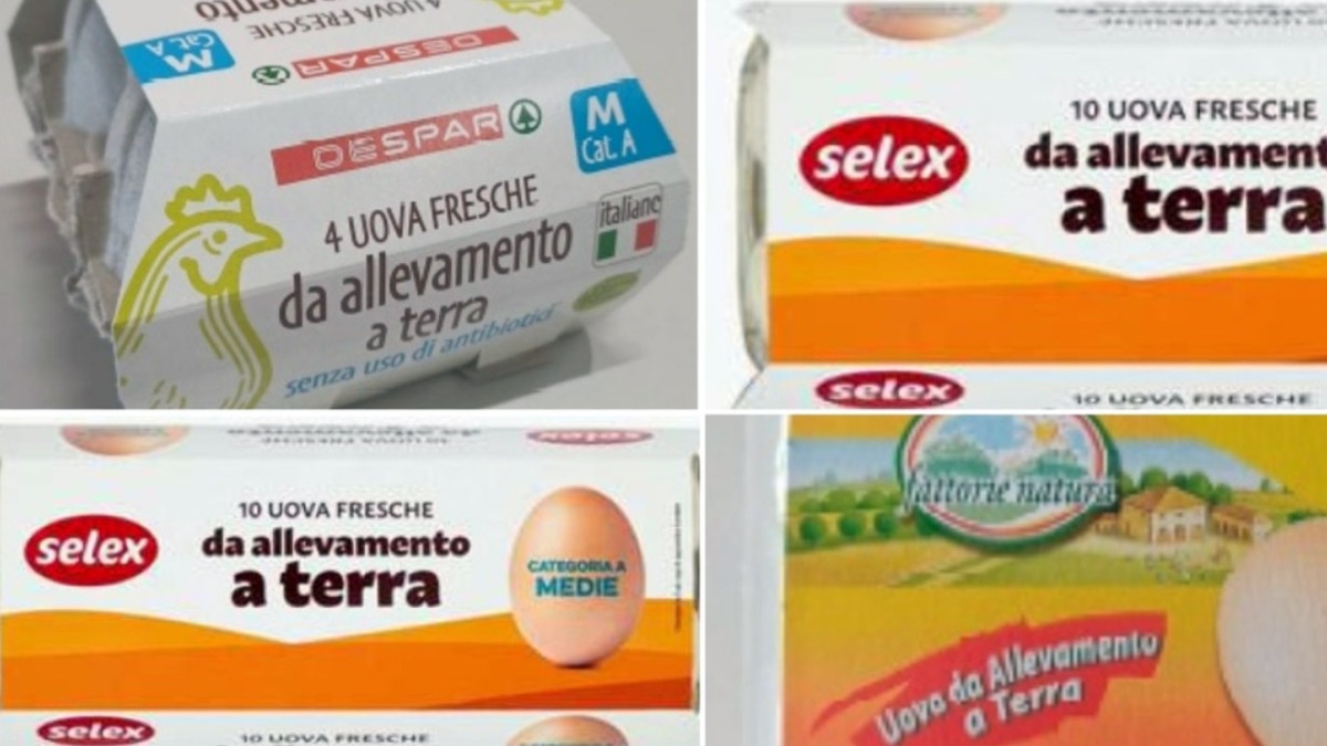 Uova di diversi marchi tolte dagli scaffali per rischio salmonella - 