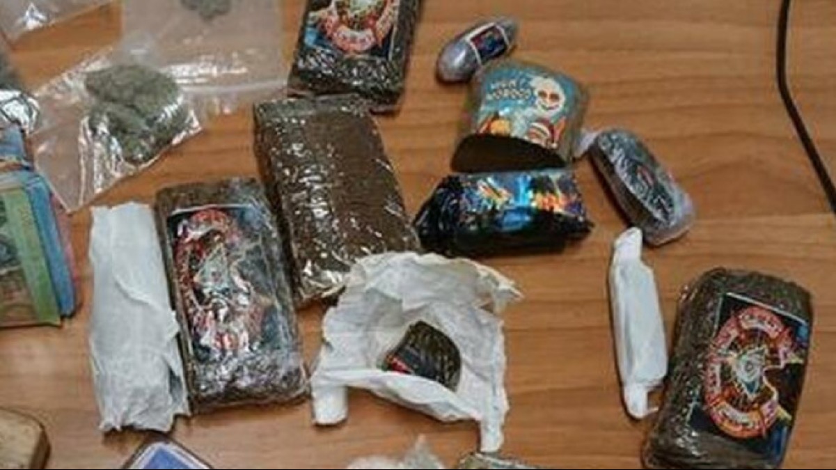 La droga nascosta nei boschi in Campania - 