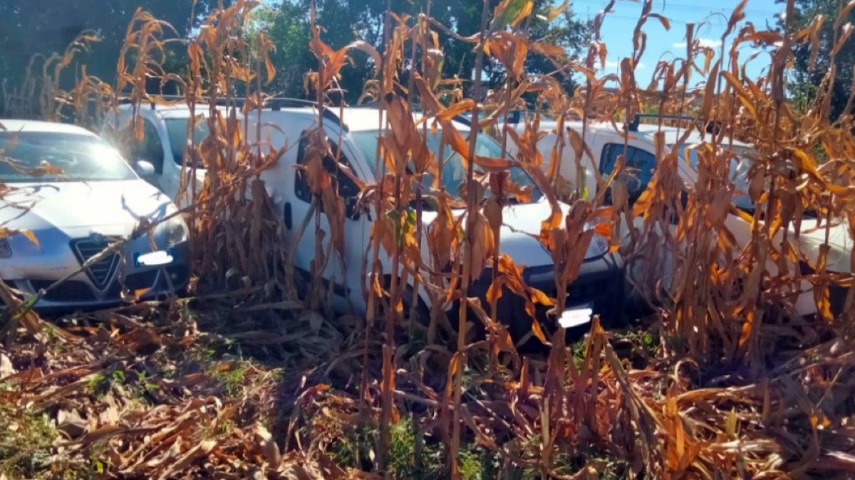 Ispezione in un campo, trovate sei auto rubate - 