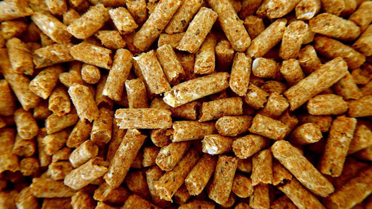 Pellet online a prezzi bomba, ma è una truffa - 
