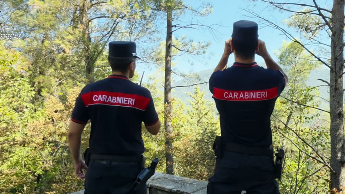 La Campania resta maglia nera per i reati ambientali - 