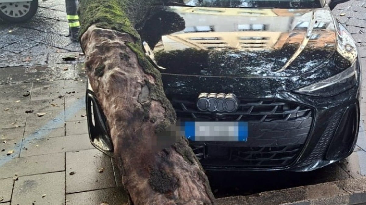 Maltempo, grosso albero crolla sull'auto - 
