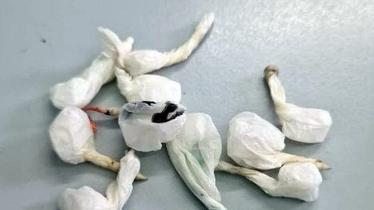 Nasconde cocaina nel tetto dell'auto - 
