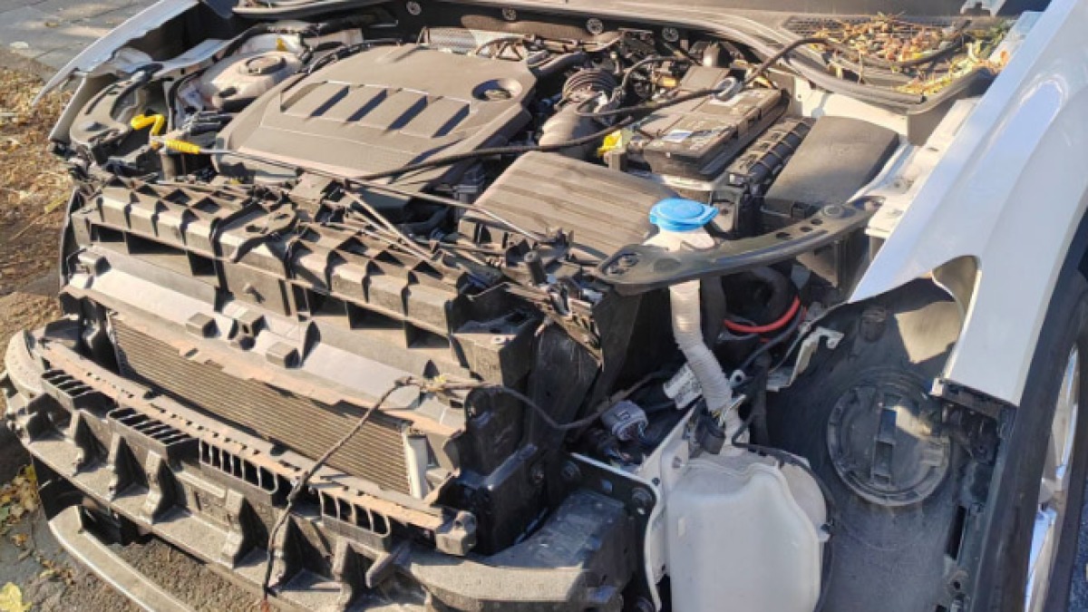 Auto cannibalizzata in strada mentre è parcheggiata - 