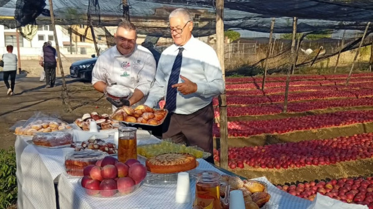 Mela Annurca, raccolta di qualità festeggiata a Ottaviano - 