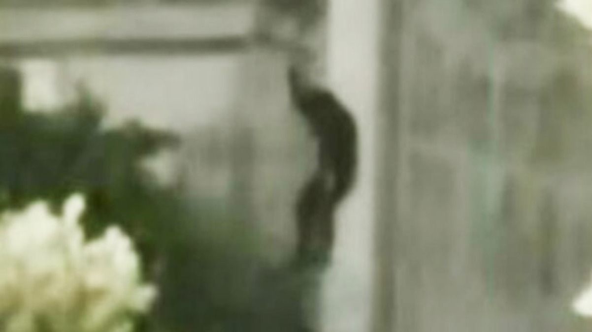 Ladro scende da una palazzina vestito di nero, video sul web - 
