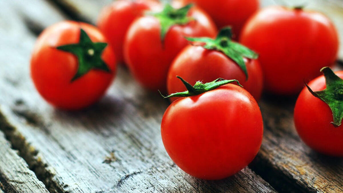 Rischio salmonella, stop ai pomodori crudi anche nel Vesuviano - 
